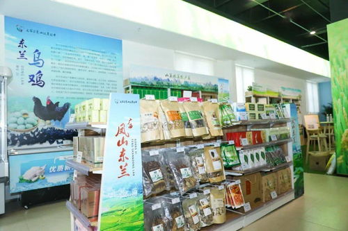 全市首个 龙华区消费扶贫特色街区启动
