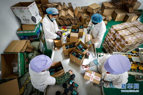 沿着高速看中国丨山海相连情谊深 东西协作谱新篇