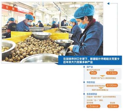 深圳对口支援新疆喀什市帕哈太克里乡调查