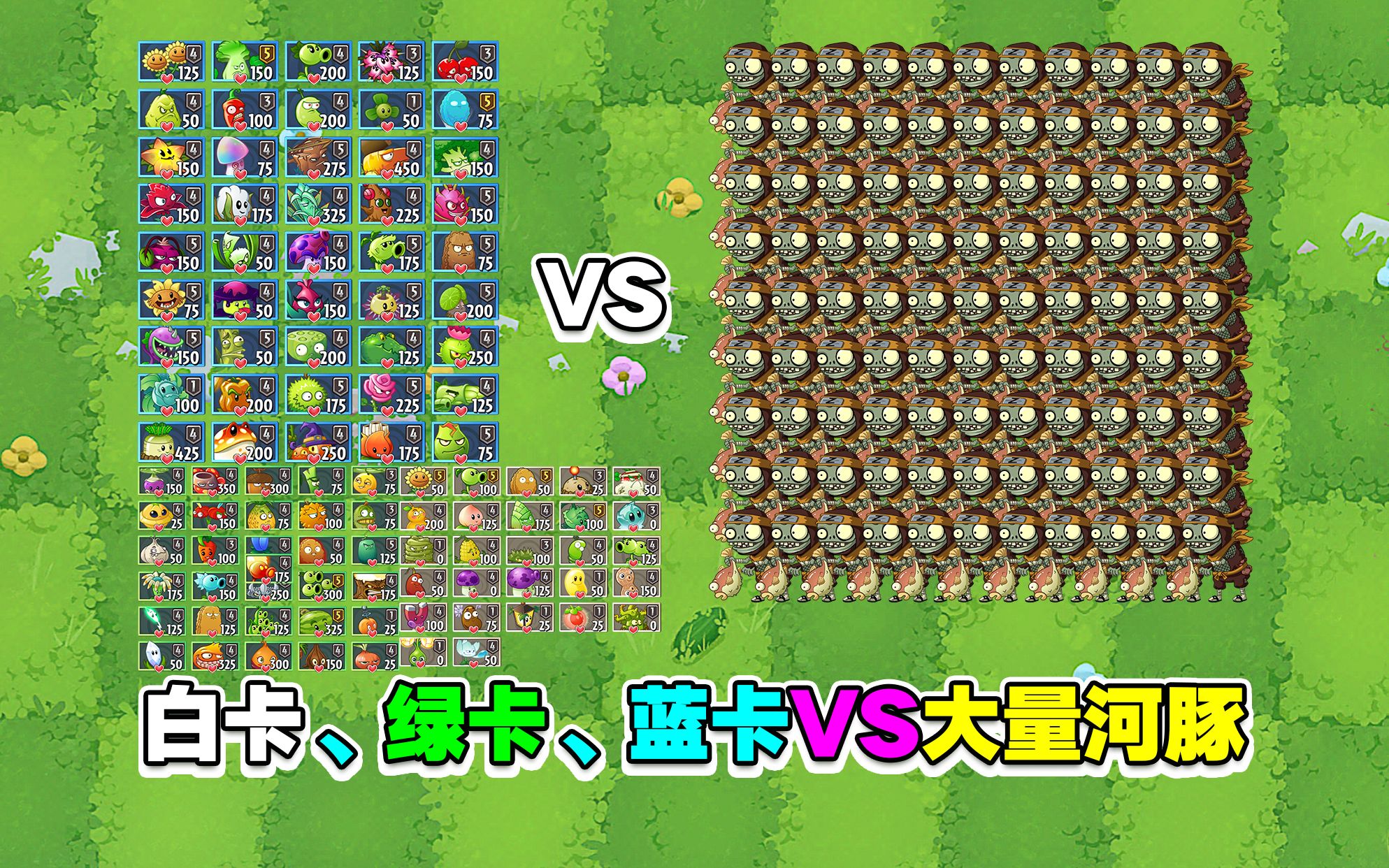 PVZ爆肝对战赛:白卡、绿卡、蓝卡VS大量河豚!千金藤:专业对口。