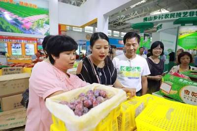鳗鱼、新梅、野生菇…佛山这个展会好吃好逛,还有“国宝级”农产品亮相!