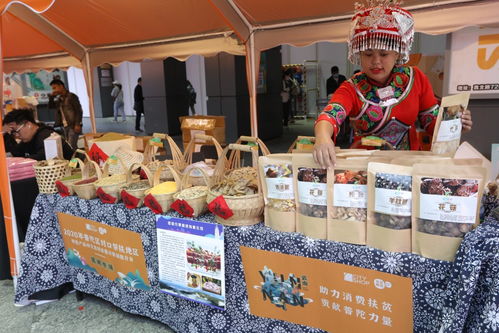 天天果园助力普陀区对口帮扶 举办昆明商品展示展销会